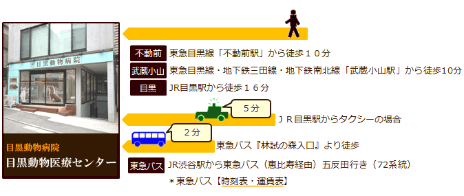 動物 病院 小山 武蔵