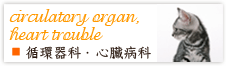 循環器科・心臓病科