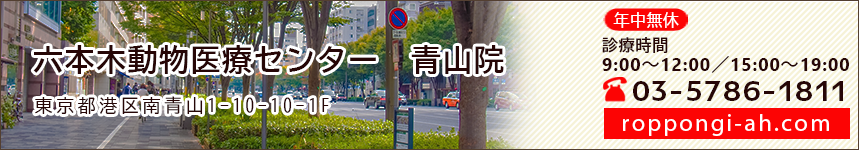 六本木動物医療センター　青山院